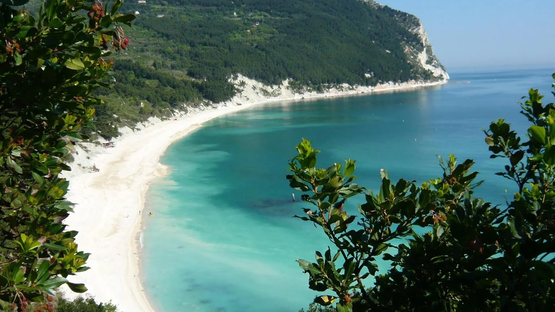 4 Hotel 4 Stelle da Scegliere vicino al Conero Golf Club